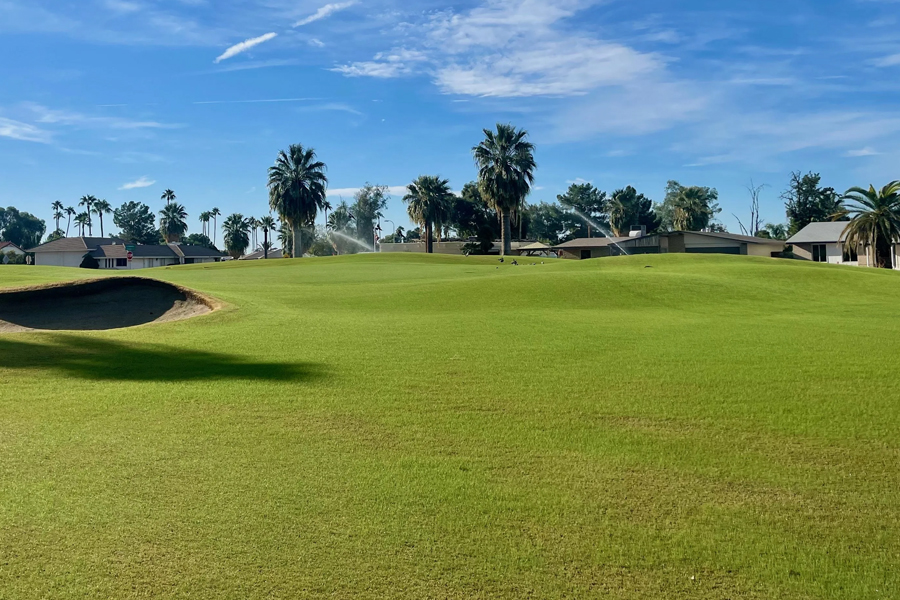 2010 March Arizona Golf Resort